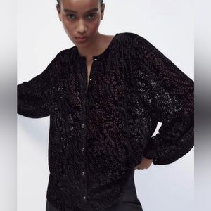 Zara velvet/sheer button down blouse